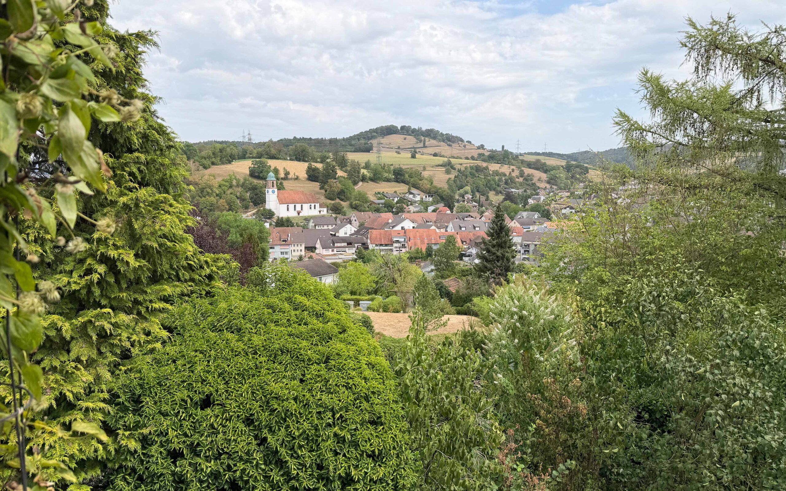 Aktuelles